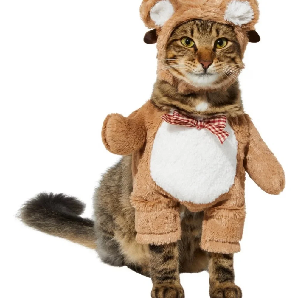 Halloween Costume Cat